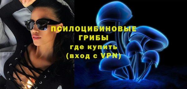 шишки Заводоуковск