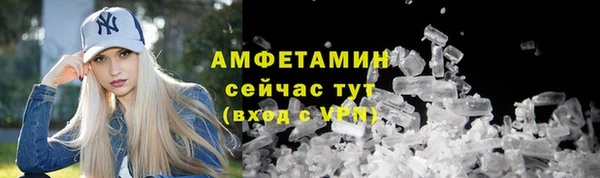 шишки Заводоуковск