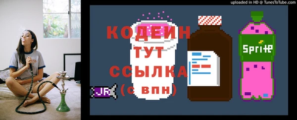 шишки Заводоуковск