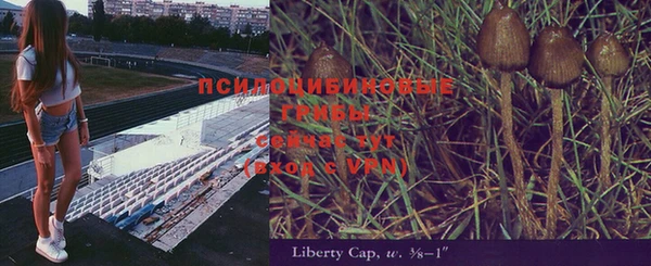 трава Заволжск