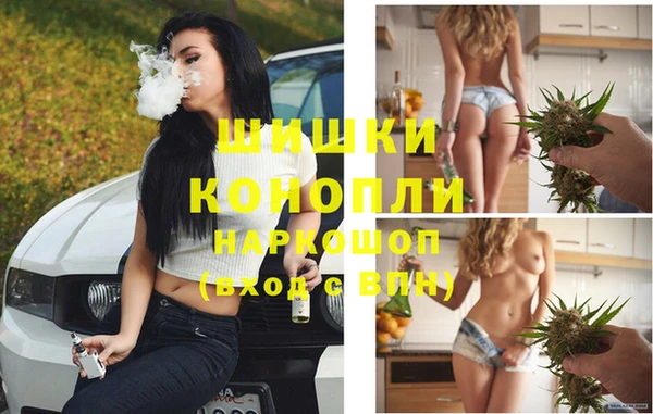 трава Заволжск