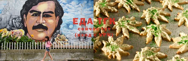 шишки Заводоуковск