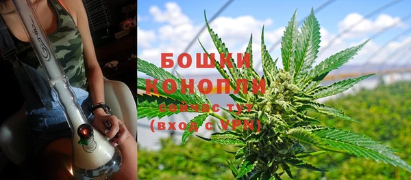 трава Заволжск