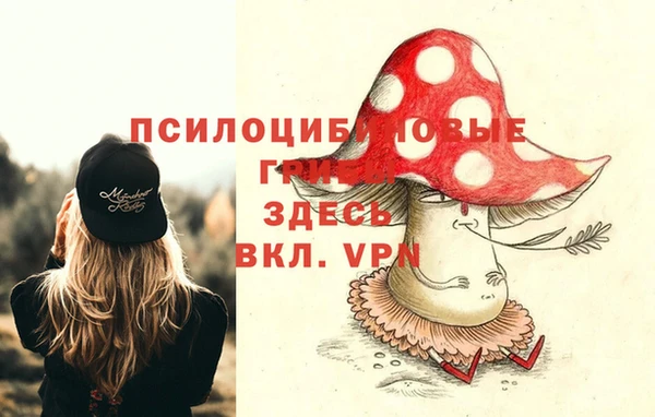 шишки Заводоуковск