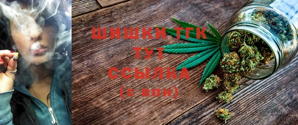 шишки Заводоуковск