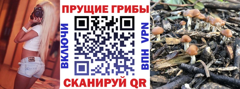 Псилоцибиновые грибы мухоморы  Купить где  Ершов 
